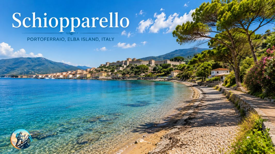 Schiopparello