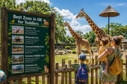 Best Zoos in UK for Toddlers