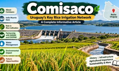 Comisaco